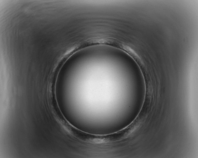 X0000086250394200704051245