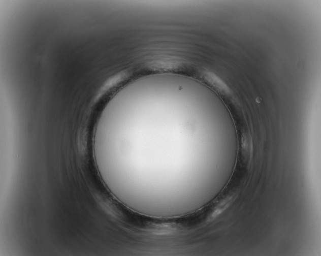 X0000086250396200704051245