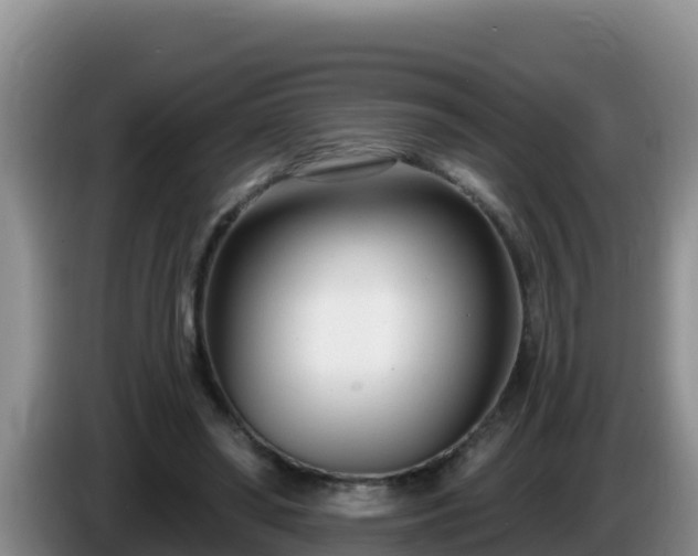 X0000086250398200704051245