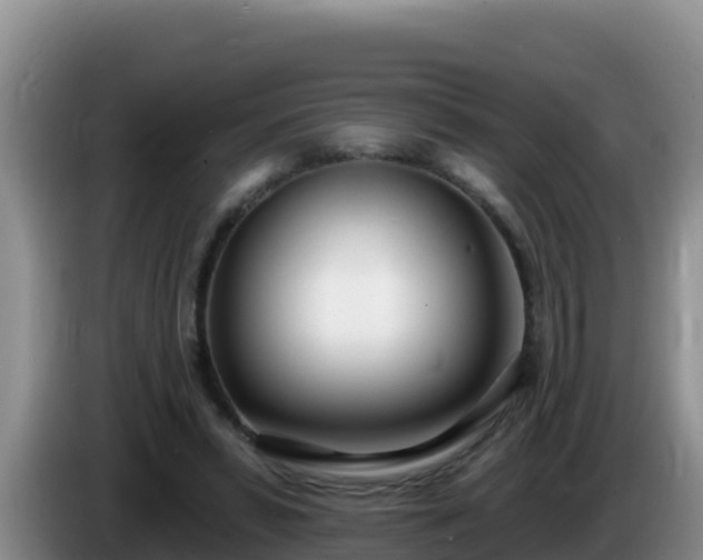X0000086250399200704051245