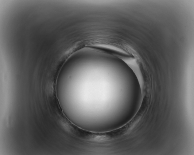 X0000086250401200704051245