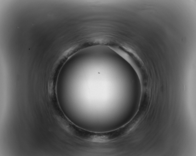 X0000086250403200704051245