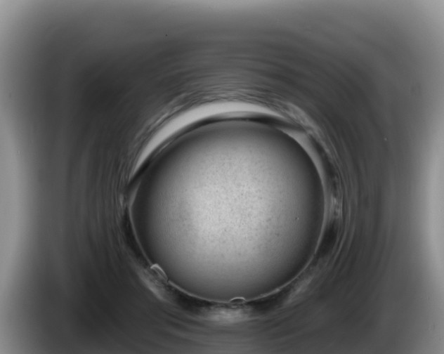 X0000086250405200704051245