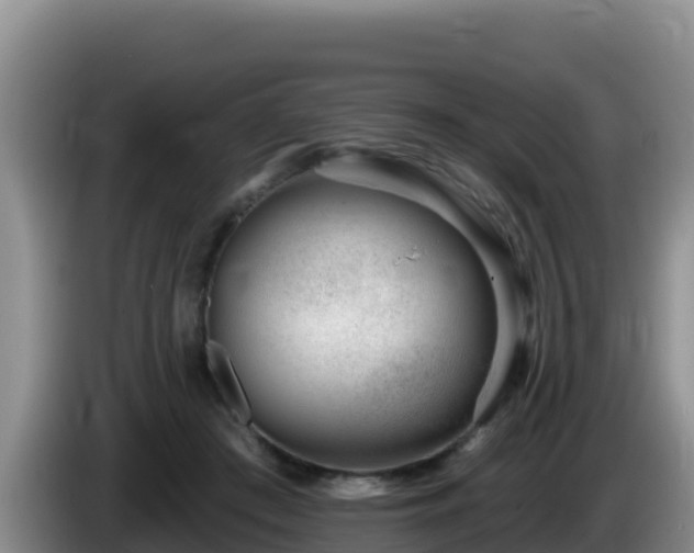 X0000086250409200704051245