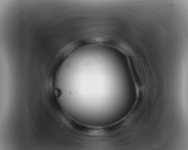 X0000086250410200704051245