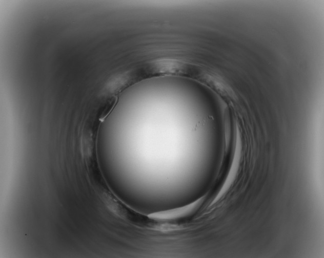X0000086250413200704051245