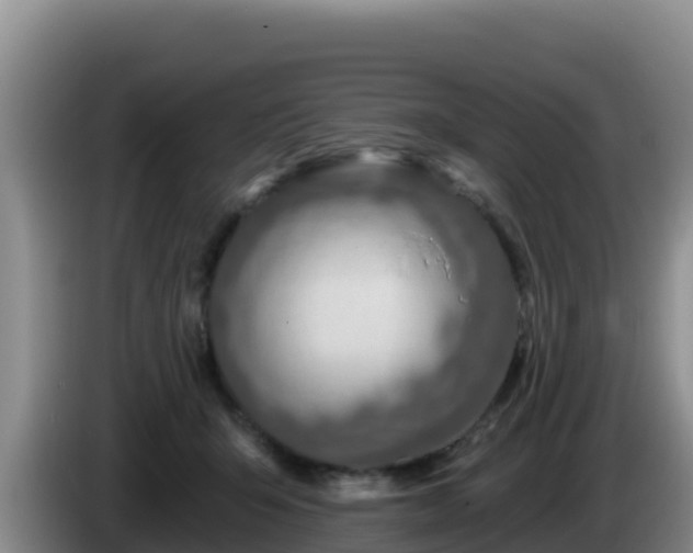 X0000086250415200704051245
