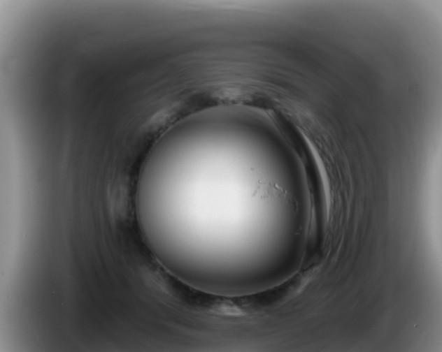 X0000086250416200704051245