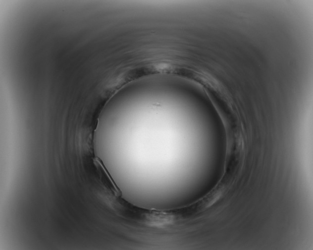 X0000086250421200704051245