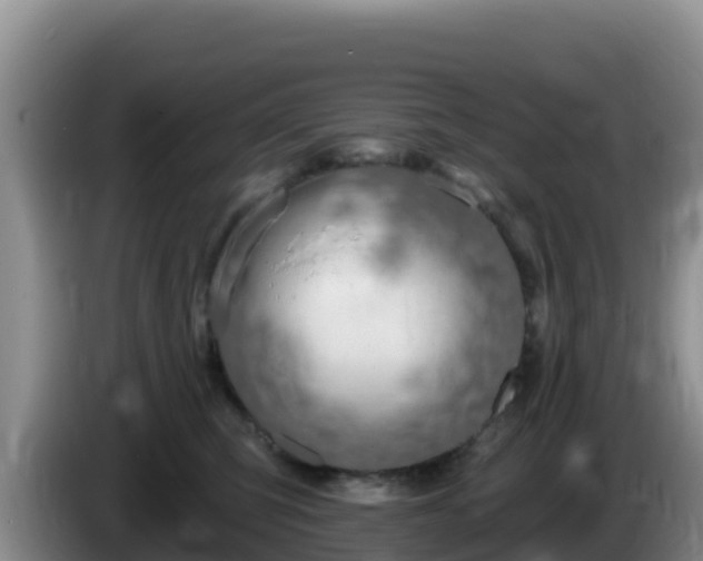 X0000086250423200704051245