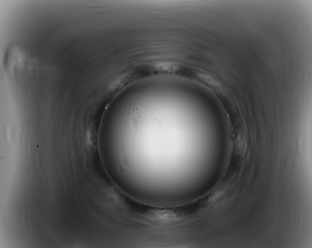X0000086250424200704051245