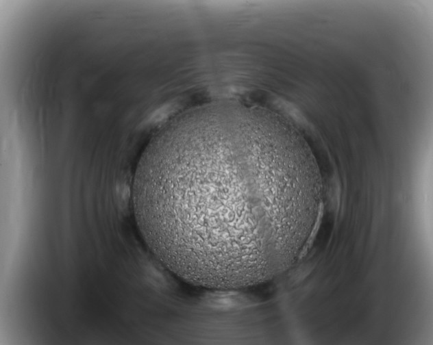 X0000086250427200704051245