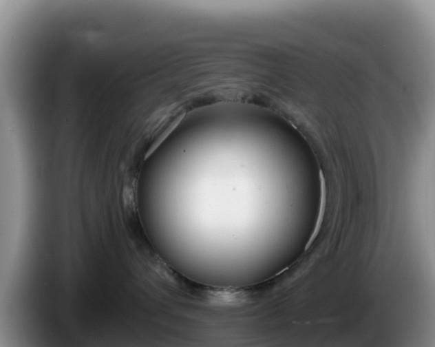 X0000086250432200704051245