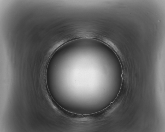 X0000086250433200704051244