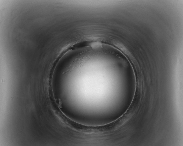 X0000086250434200704051244
