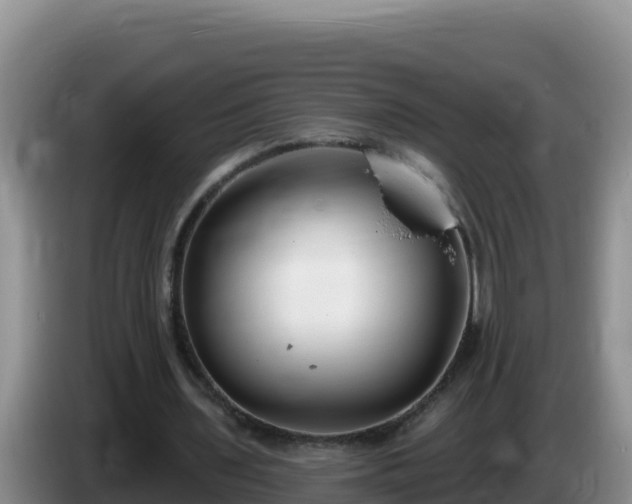 X0000086250435200704051244