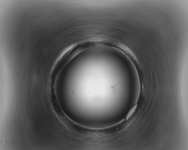 X0000086250436200704051244