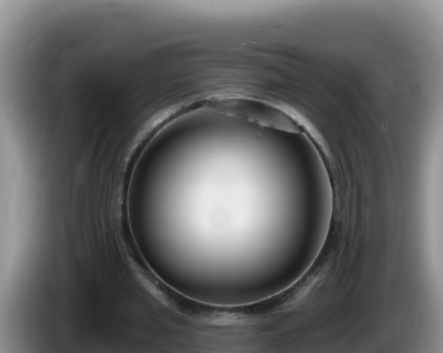 X0000086250437200704051244