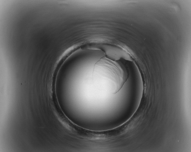 X0000086250438200704051244