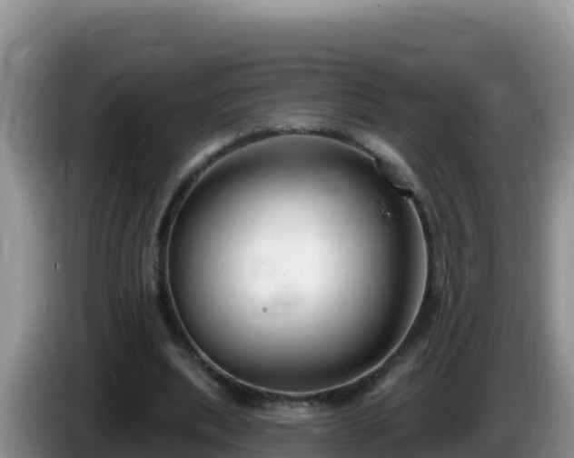 X0000086250439200704051244
