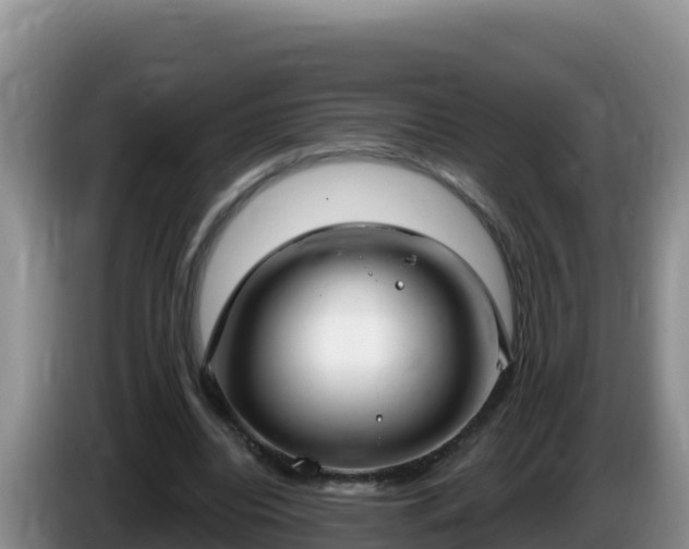 X0000086250440200704051244