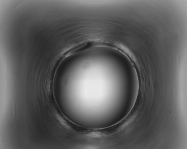 X0000086250441200704051244