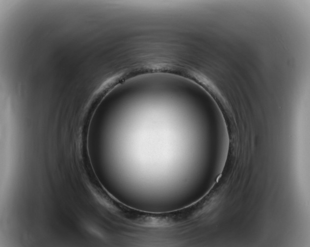 X0000086250442200704051244