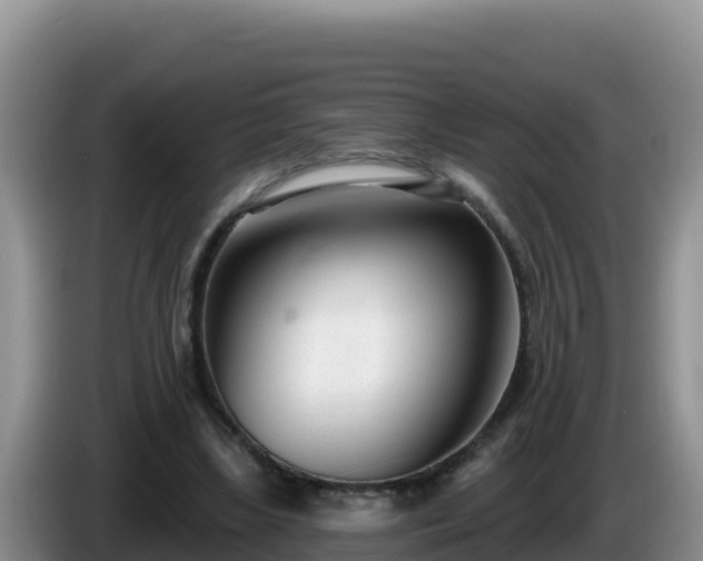 X0000086250443200704051244