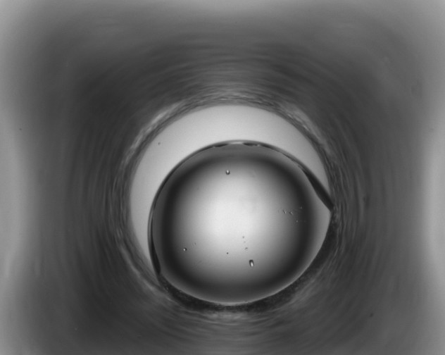 X0000086250444200704051244