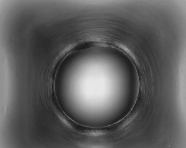 X0000086250445200704051244
