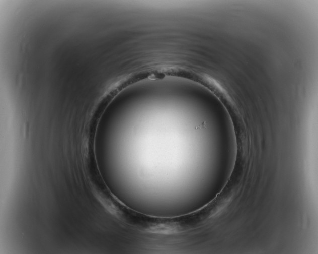 X0000086250447200704051244