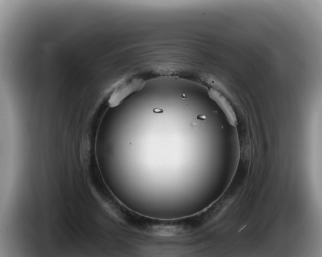 X0000086250448200704051244