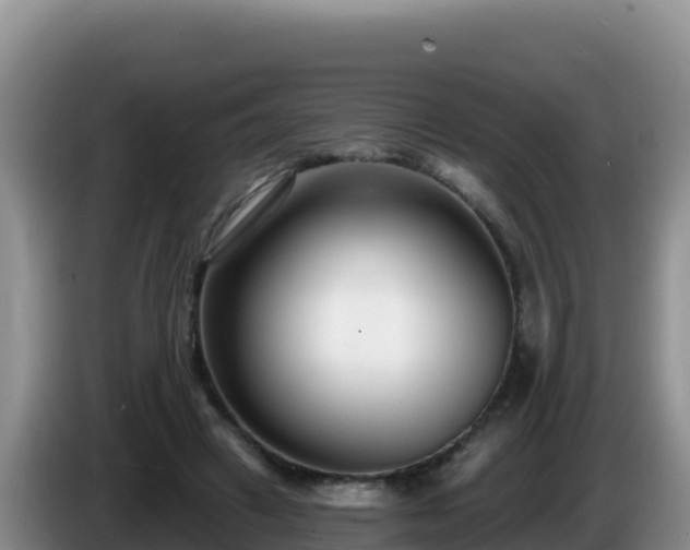 X0000086250449200704051244