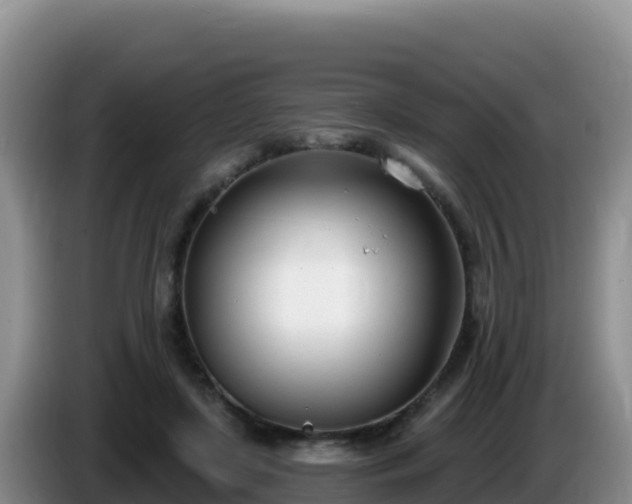 X0000086250451200704051244