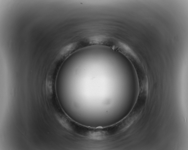 X0000086250452200704051244