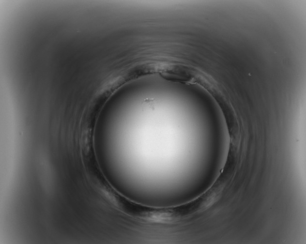 X0000086250462200704051244