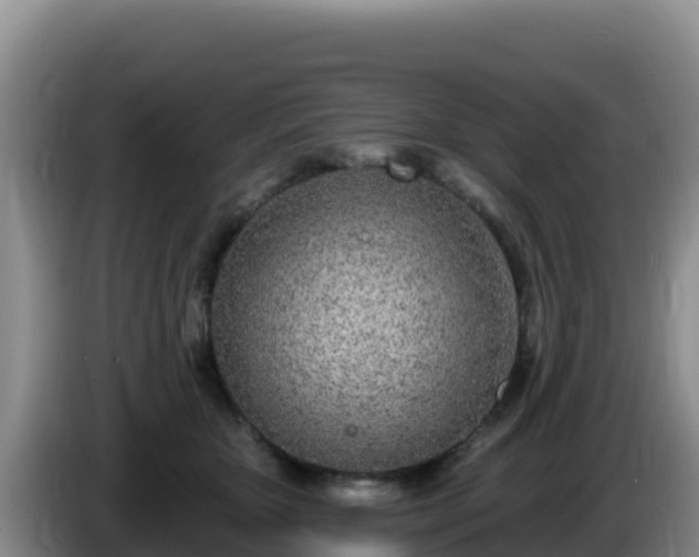 X0000086250467200704051245