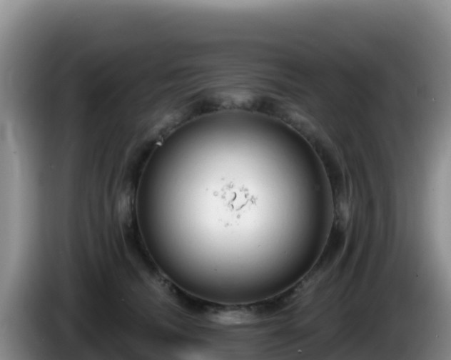 X0000086250468200704051245