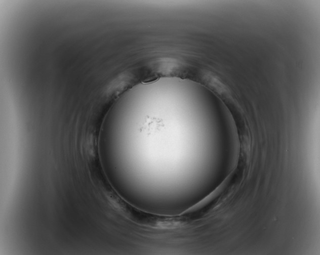 X0000086250470200704051245