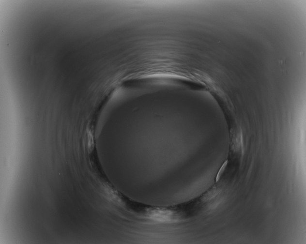 X0000086250471200704051245