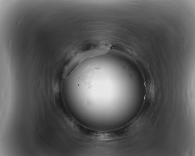 X0000086250472200704051245