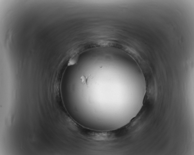 X0000086250473200704051245