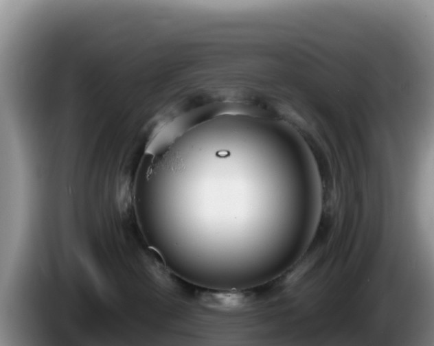 X0000086250478200704051245