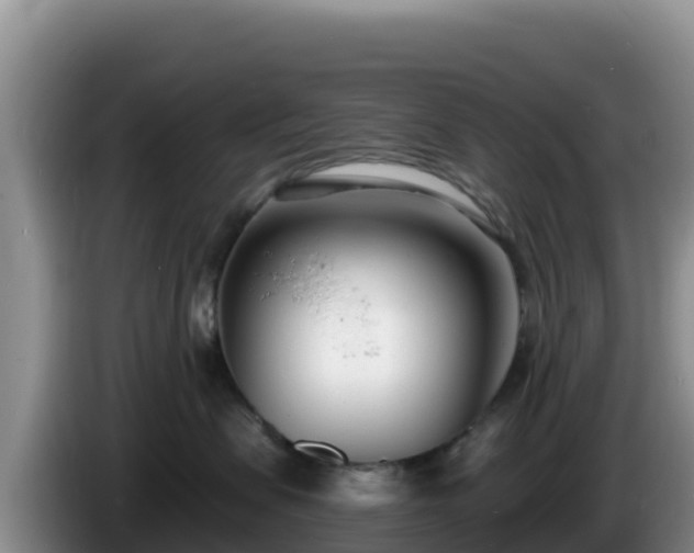 X0000086250479200704051245