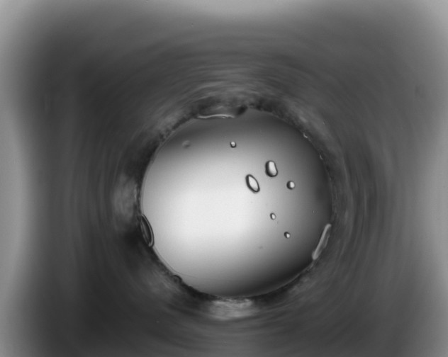 X0000086250480200704051245