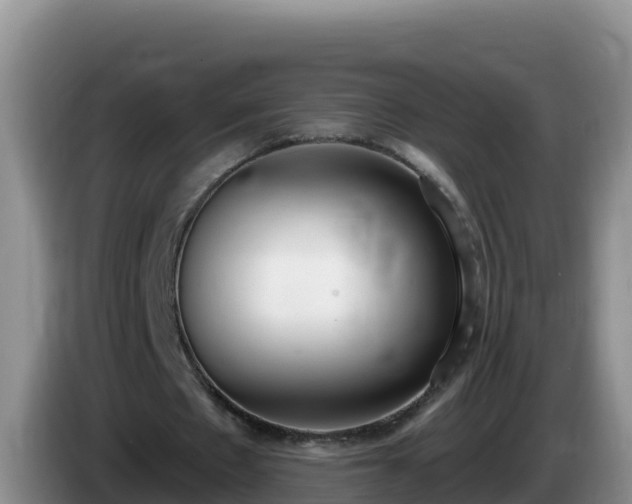 X0000086250481200704051244