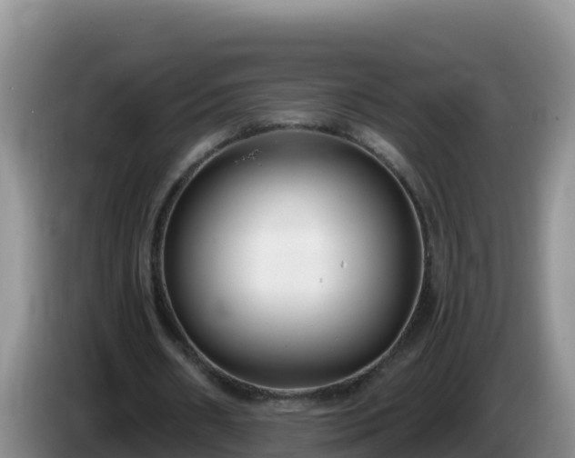 X0000086250482200704051244