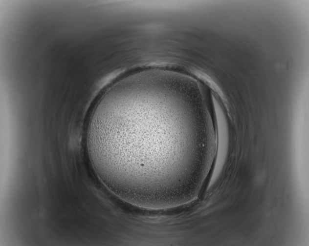 X0000086250483200704051244
