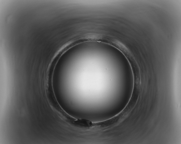 X0000086250484200704051244