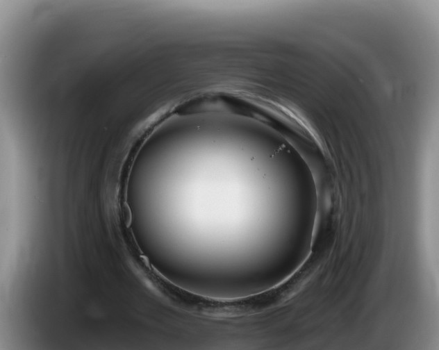 X0000086250485200704051244